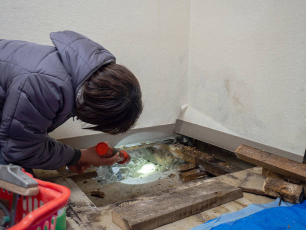 Best Crawl Space Mold Remediation  in Harrison, TN