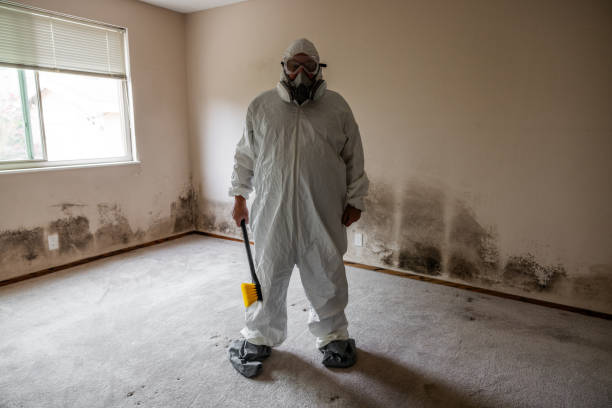 Best Forensic Mold Investigation  in Harrison, TN